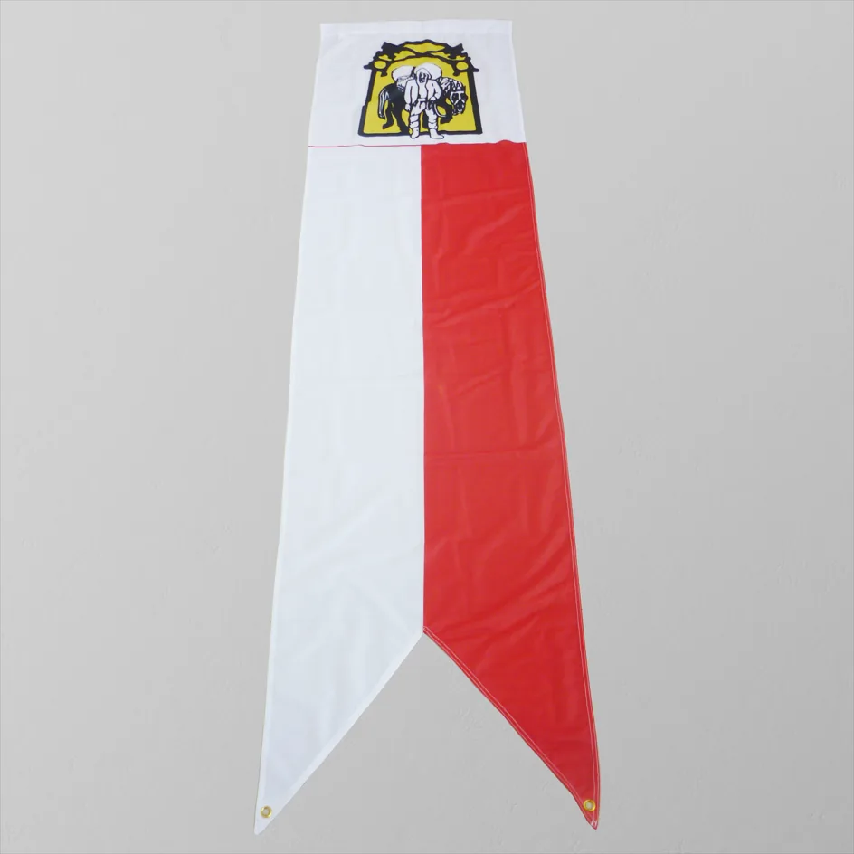 Swallowtail banner